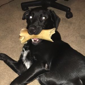 Meet your Posher, Logan